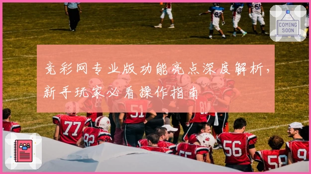 竞彩网专业版功能亮点深度解析，新手玩家必看操作指南
