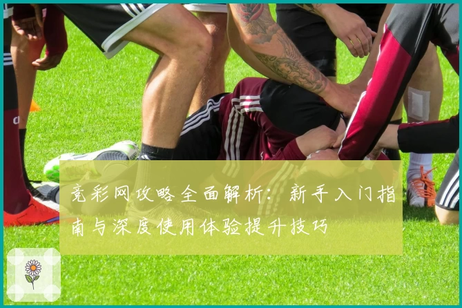 竞彩网攻略全面解析：新手入门指南与深度使用体验提升技巧