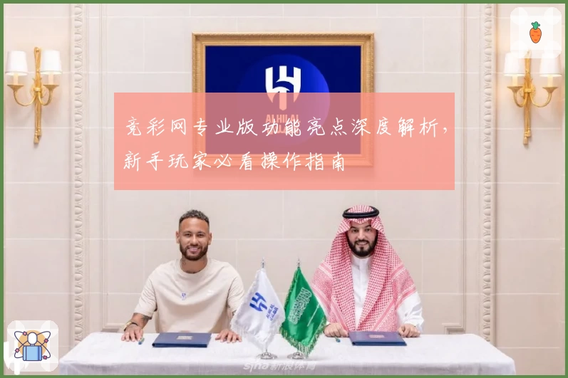 竞彩网专业版功能亮点深度解析，新手玩家必看操作指南